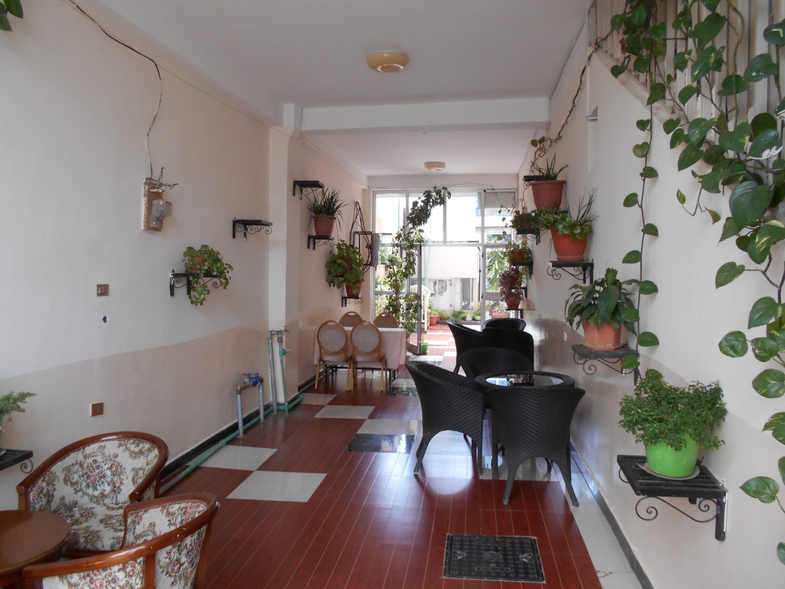 Armah Hotel - Green Area Compound